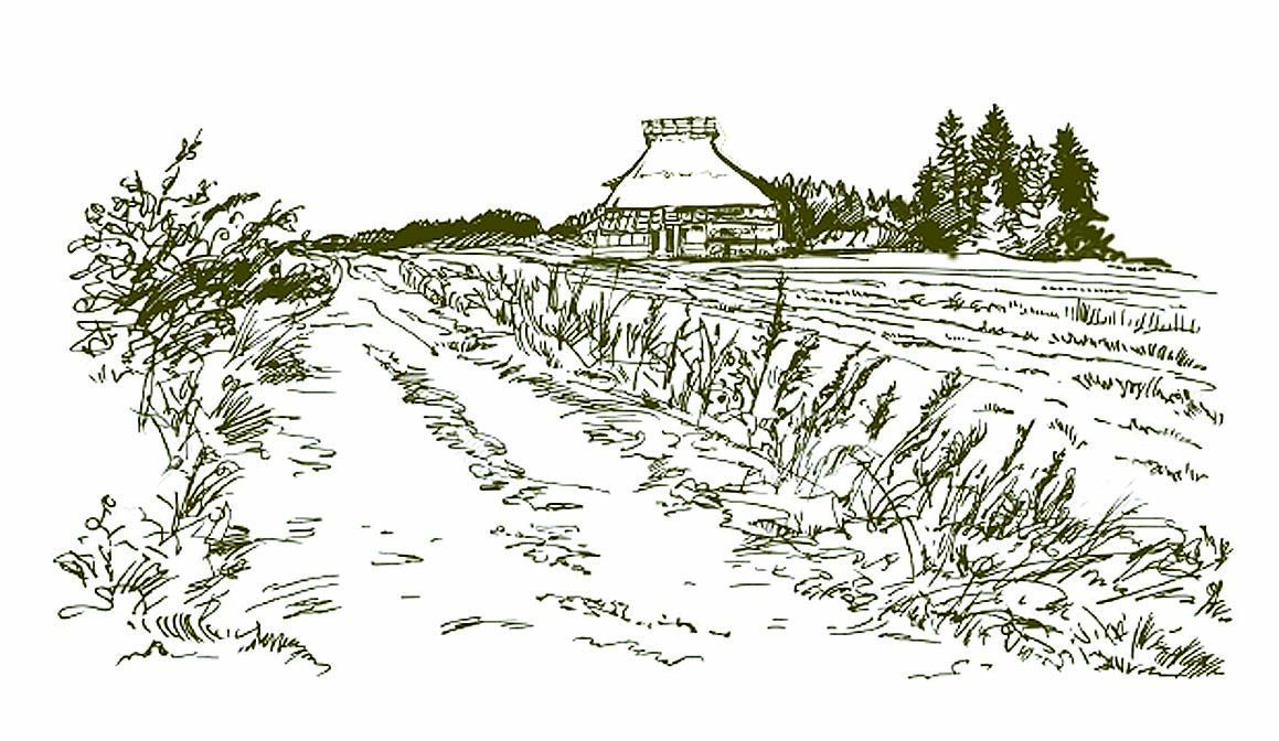 古材問屋の再生